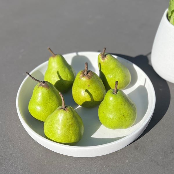 Tex Shallow bowl