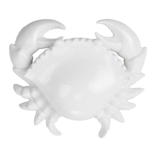 Crusty Porcelain Crab