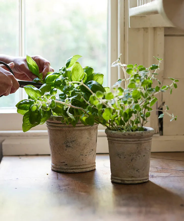 Gris Planter - Medium