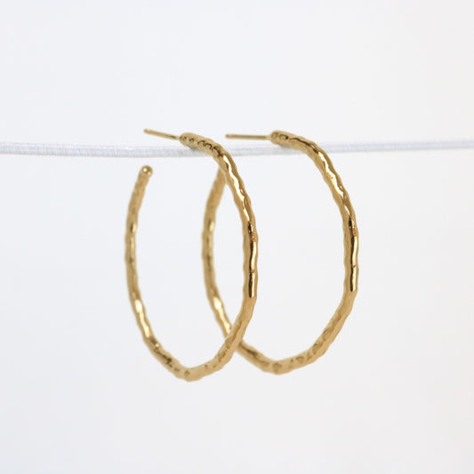 Aylin Gold Earings