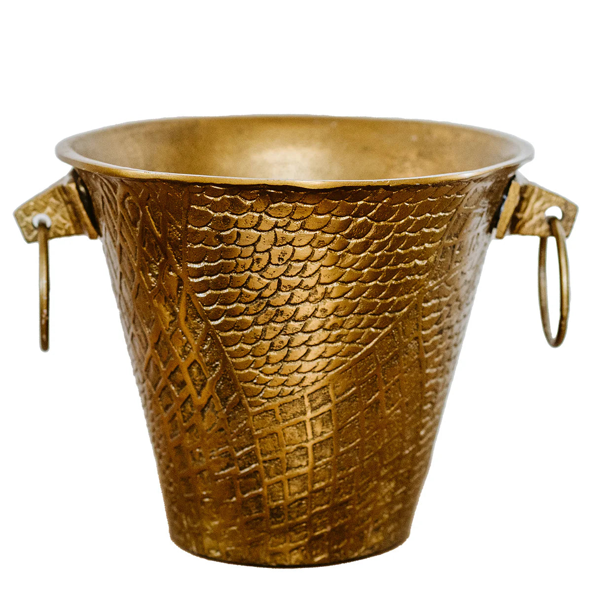 Reptile Champagne Bucket