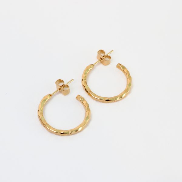 Coral Earrings in Gold