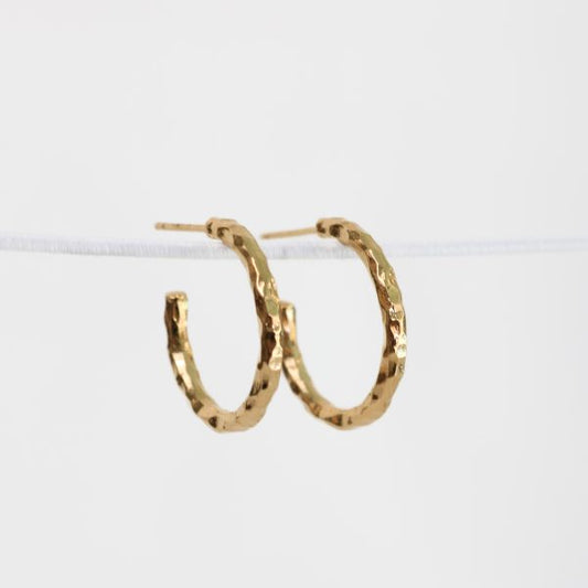 Coral Earrings in Gold