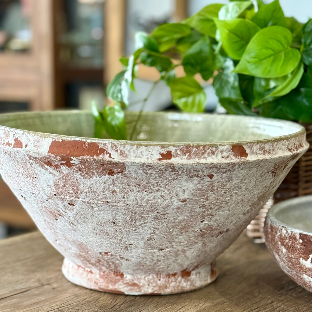 Ursa Bowl
