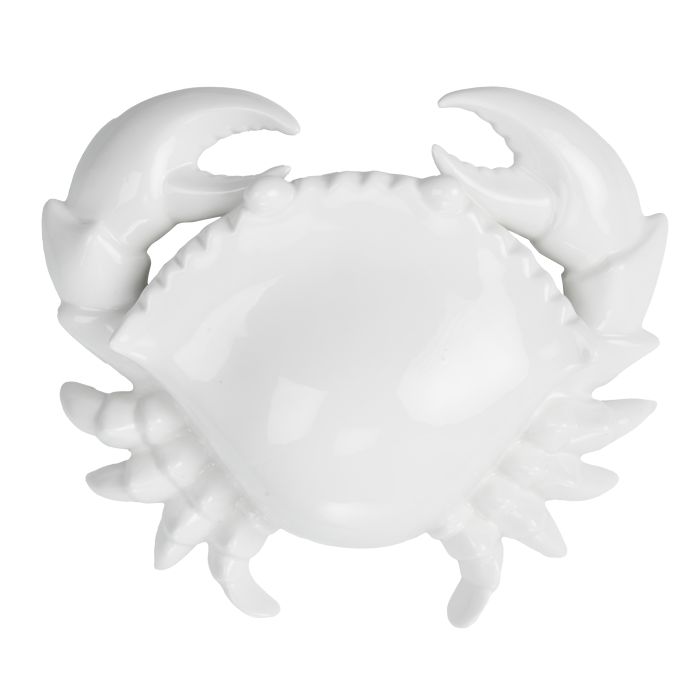 Crusty Porcelain Crab