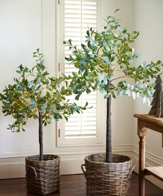 Olive Tree - Light up - MED