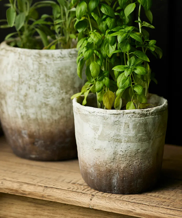 Marron Planter Pot - LGE