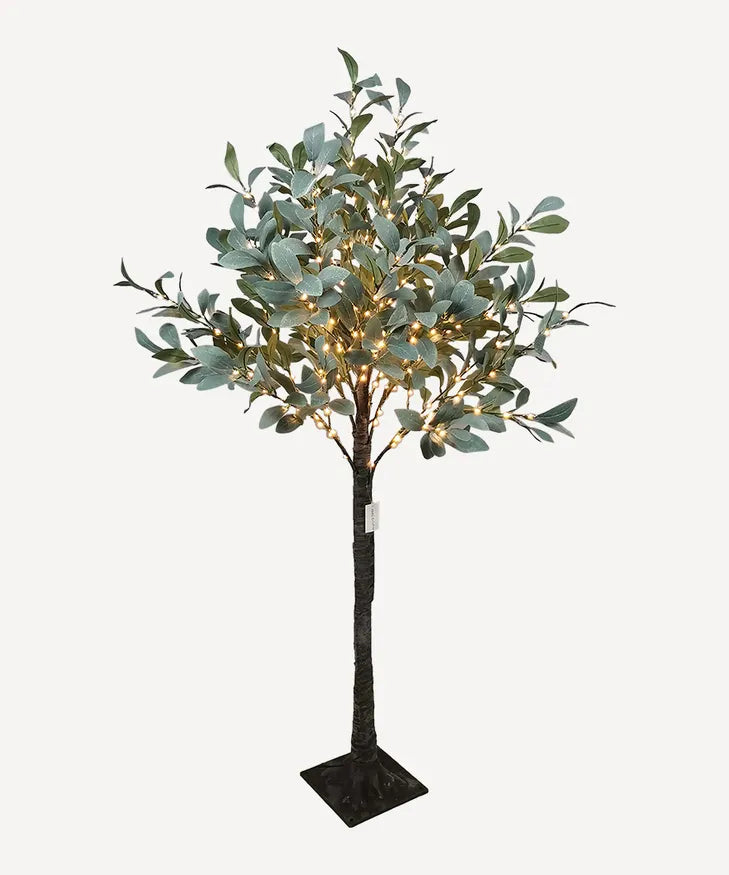 Olive Tree - Light Up SM