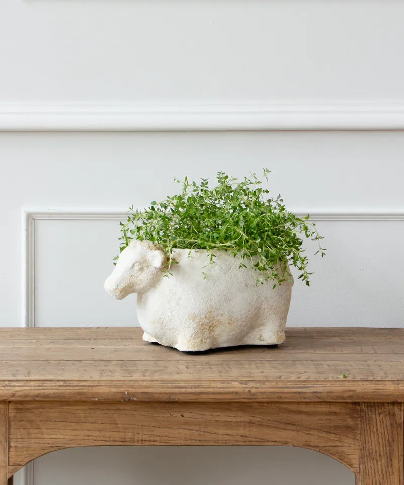 Sheep Flowerpot