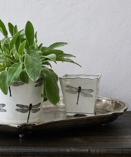 Dragonfly SML Planter